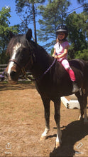 Load image into Gallery viewer, Horsemanship Riding Lessons
