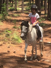 Load image into Gallery viewer, Horsemanship Riding Lessons