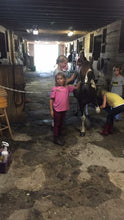 Load image into Gallery viewer, Children Pony Camp