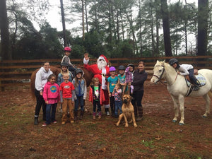 Christmas Horse Camp