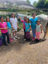 Load image into Gallery viewer, Horsemanship Camp